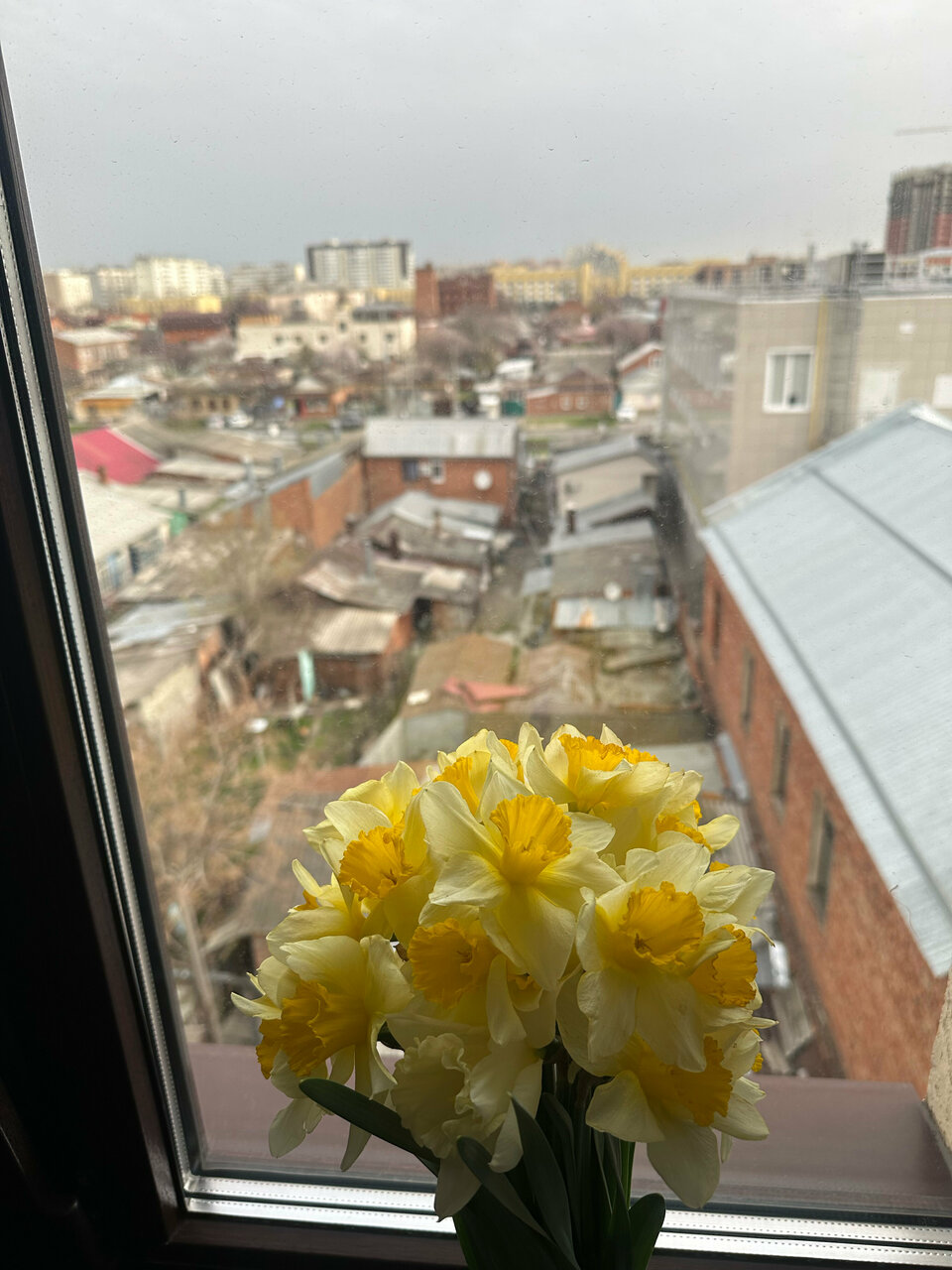 Гостиница Южная башня Краснодар-123