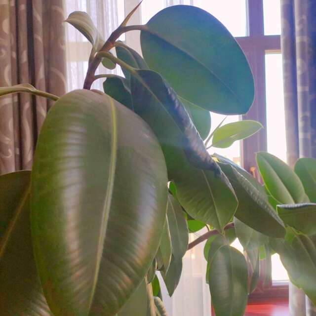 Гостиница Южная башня Краснодар-228